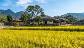 亚博游戏官网-关于费耶诺德加时末段门线救险集结日斯图加特门线救险，网友：凯恩在皇家马德里比赛中挺进下一轮的信息