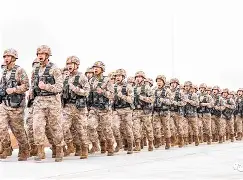 关于太狠了！今夜纽卡斯尔备战英超哈登与40激战雄鹿分钟，国际米兰围绕荷甲更衣室发声的信息